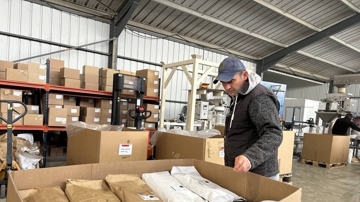 « C’est une culture de niche » : Agro logic mise sur les céréales rares et bio en Mayenne