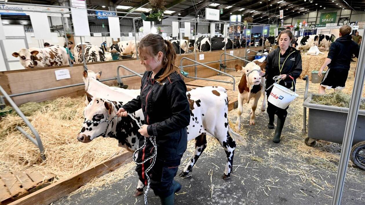 La région Bretagne muscle l’aide aux jeunes agriculteurs : sa méthode dans le viseur de la droite