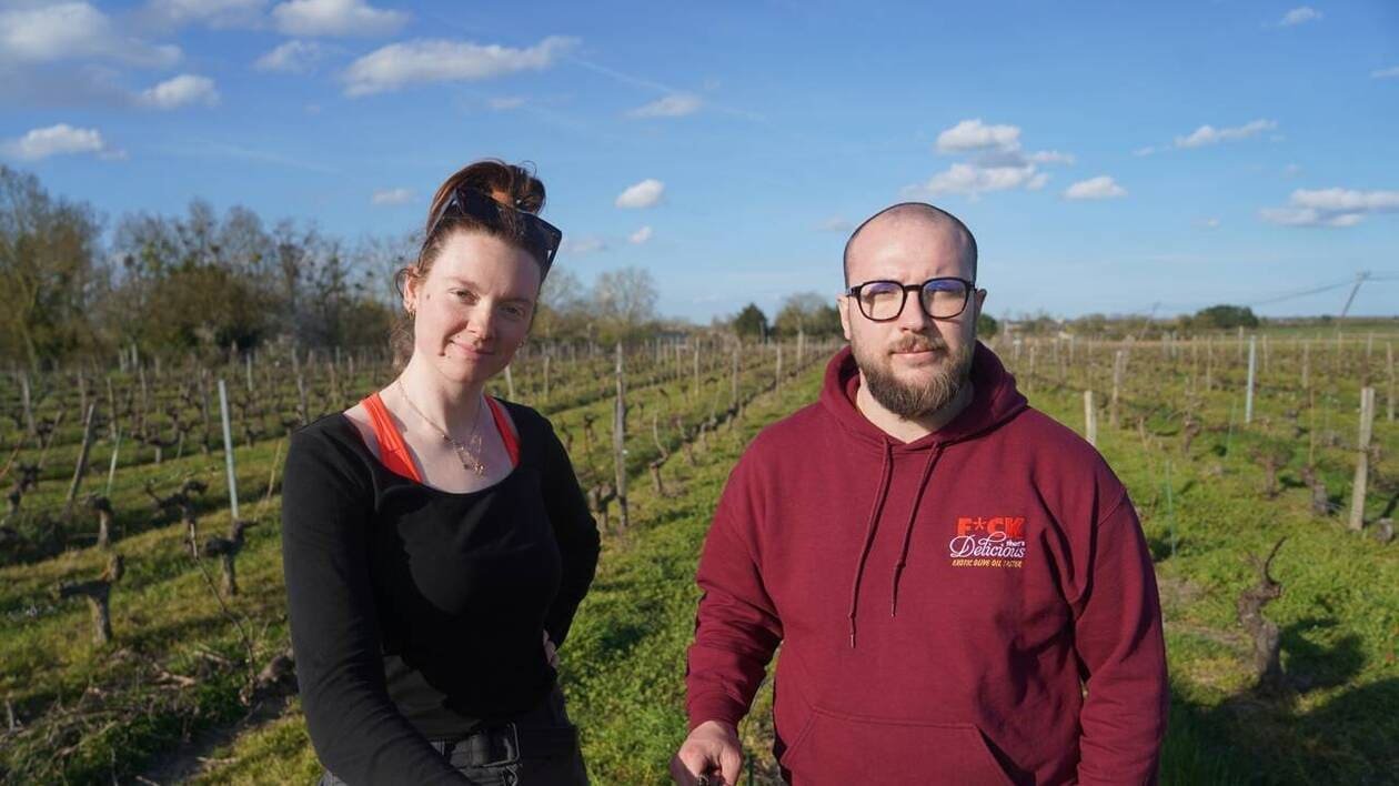 33 hectares en plein Layon. Pourquoi cette banque achète des vignes en Anjou ?