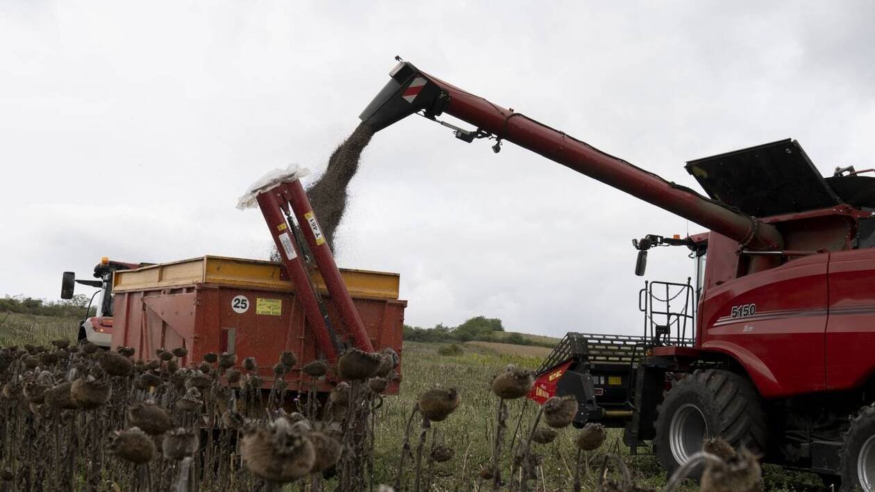 Alimentation. A l’Assemblée nationale, les députés approuvent une taxe sur l’hexane, un solvant neurotoxique