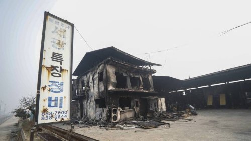 Au moins 27 morts et plus de 35 000 ha détruits : ce que l’on sait des incendies en Corée du Sud