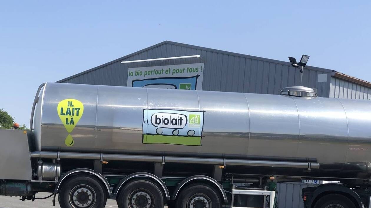 Biolait perd des producteurs, mais reste confiant dans la reprise du marché bio