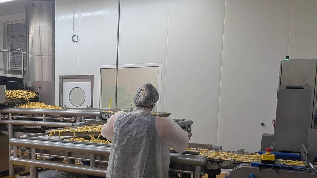 Dans le pays de Caux, à Luneray, c’est l’eldorado pour la frite normande