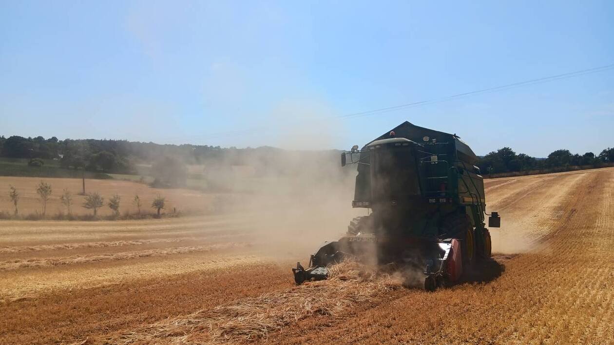 Ces Bretons cultivent des lentilles vertes bio, « un produit d’avenir » qui se substitue à la viande