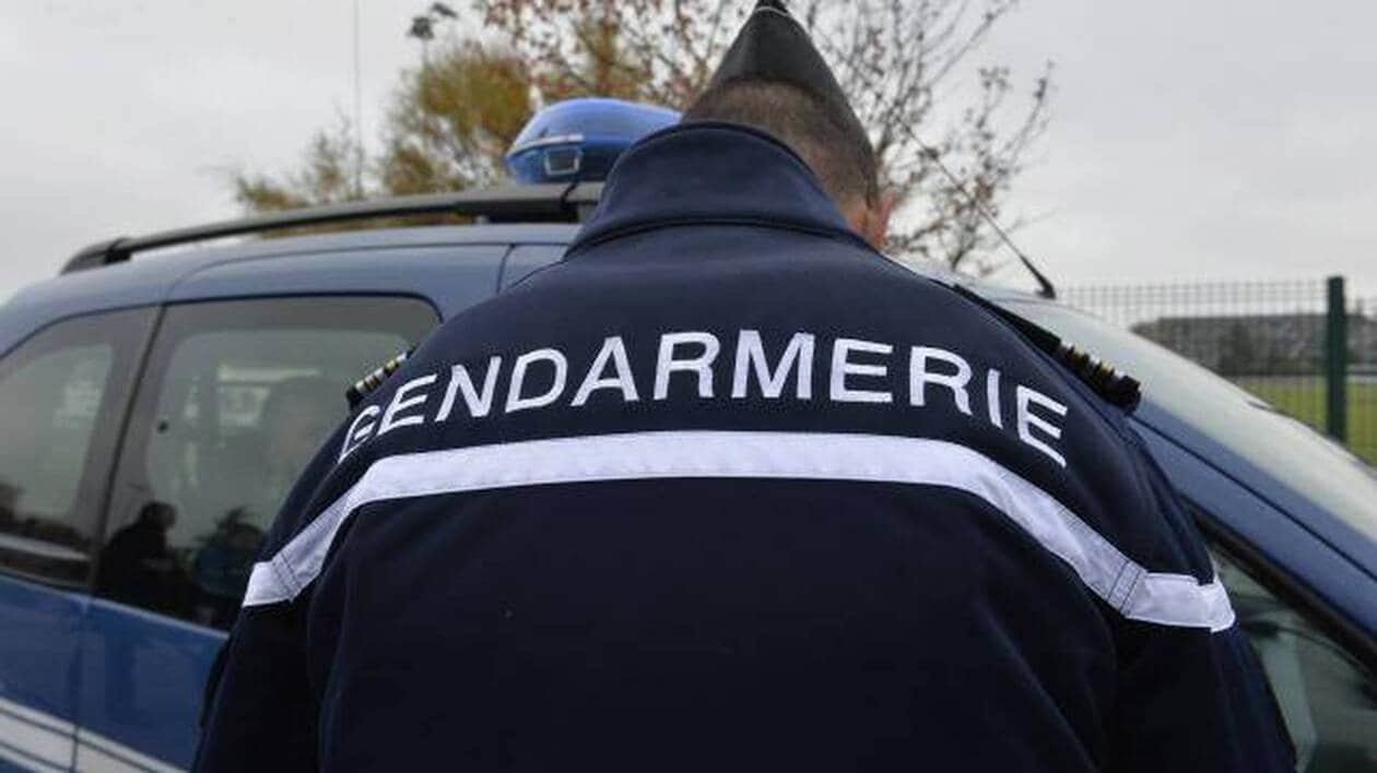 Chiens, gyrophare, tenue… De faux gendarmes arrêtés en pleine nuit à Toulouse