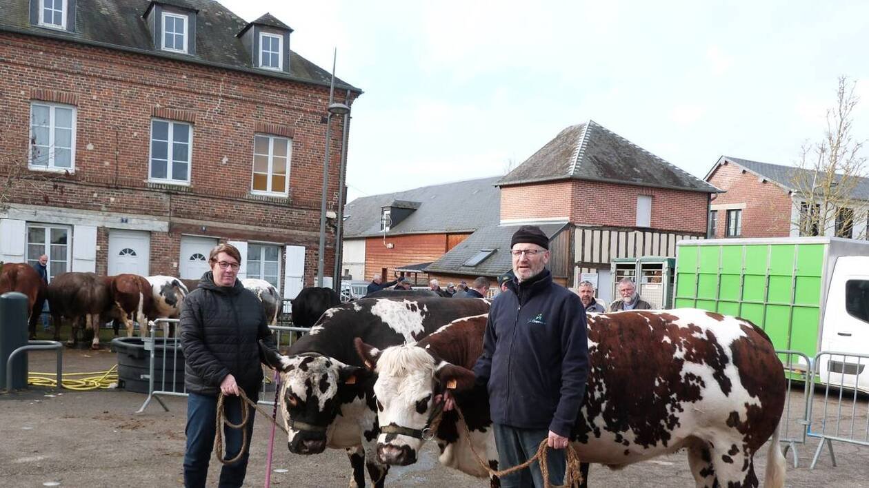 La foire Saint-André de Livarot-pays d’Auge se déroulera le 29 novembre