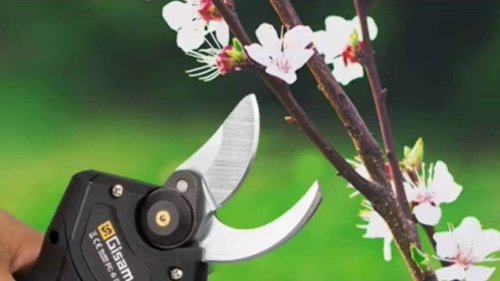 Les jardiniers pourront s’offrir ce sécateur électrique sans fil à moins de 45 euros