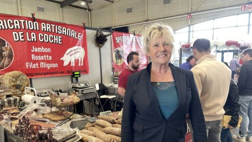 À Vannes avec 11 000 entrées, « bilan mitigé » pour la première Grande expo du Morbihan