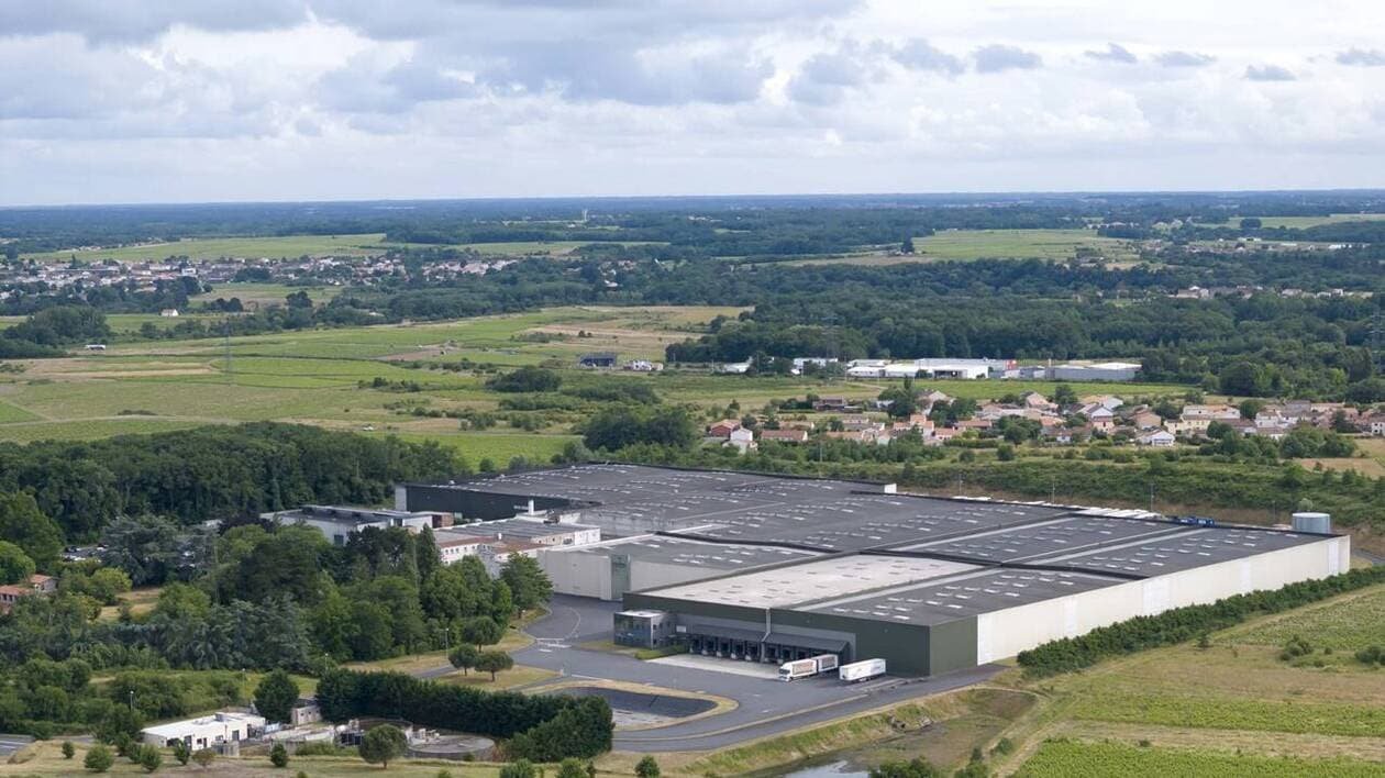 Castel Vins investit dans une usine pour produire du vin sans alcool dans le vignoble nantais