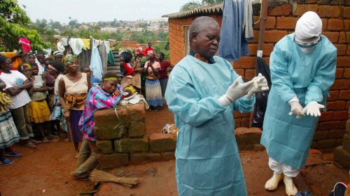 La Tanzanie déclare la fin de l’épidémie de virus de Marburg
