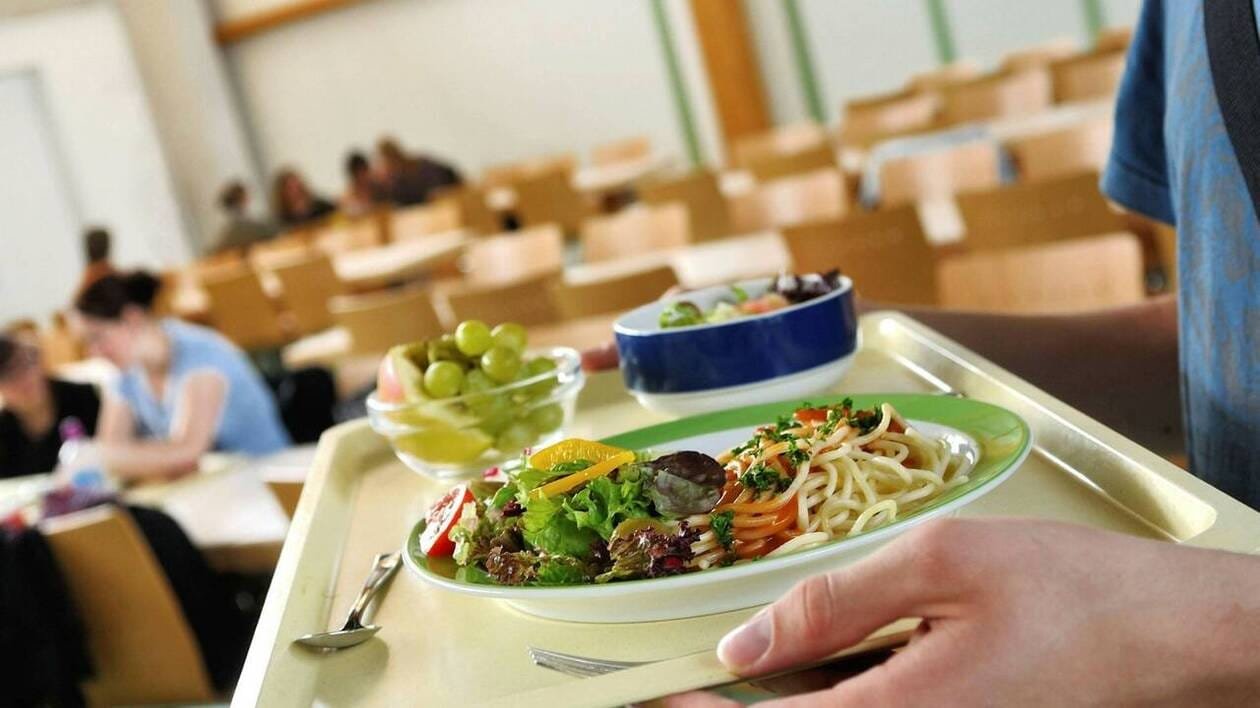 Bio, permaculture, zéro déchet… La cantine de ce collège de Segré fait du bien à l’environnement