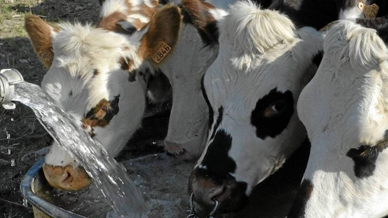 Une entreprise près de Fougères installe un dispositif de réutilisation d’eau pluviale dans le Doubs