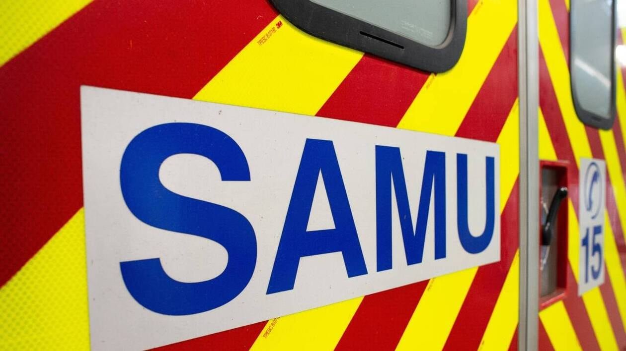 Dans le Morbihan, une agricultrice coincée par des vaches dans un enclos