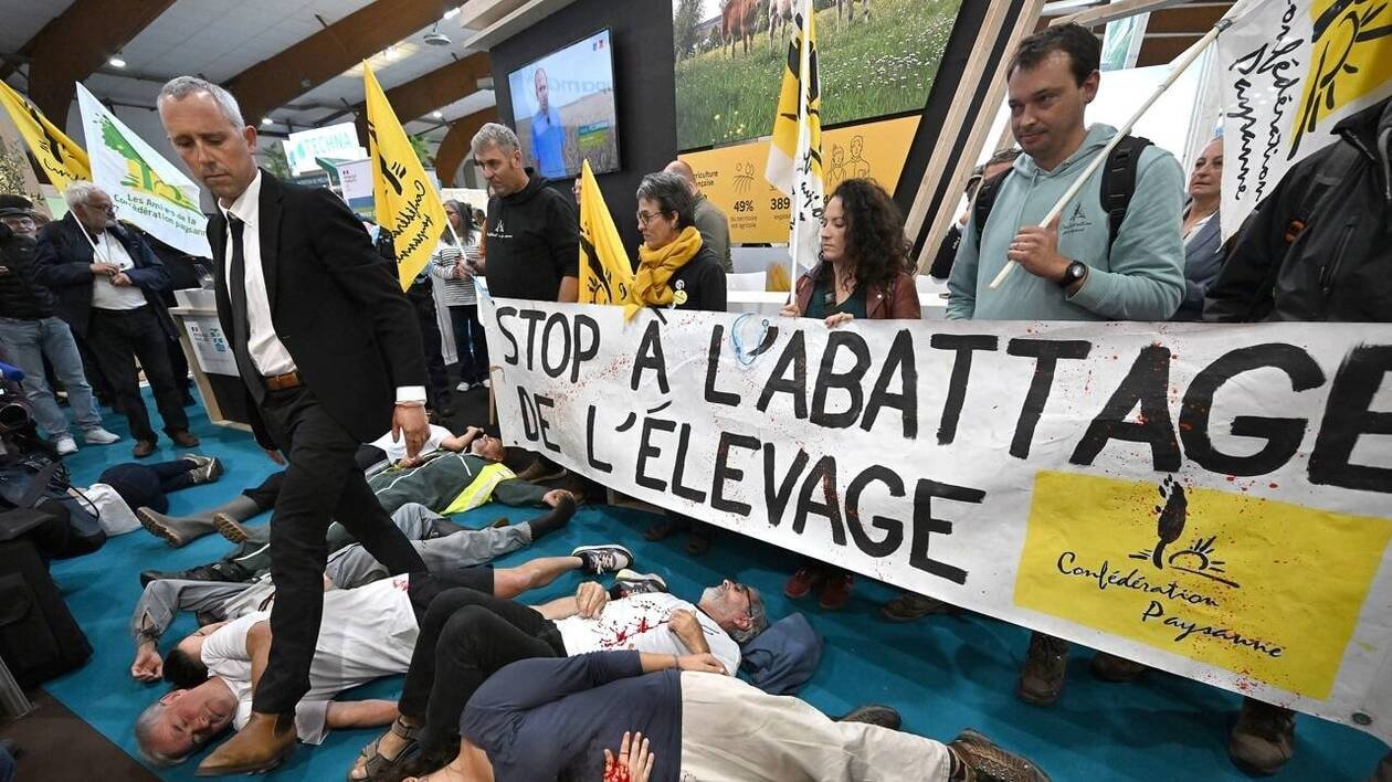 Face aux maladies dans les élevages, des divergences sur la politique à mener