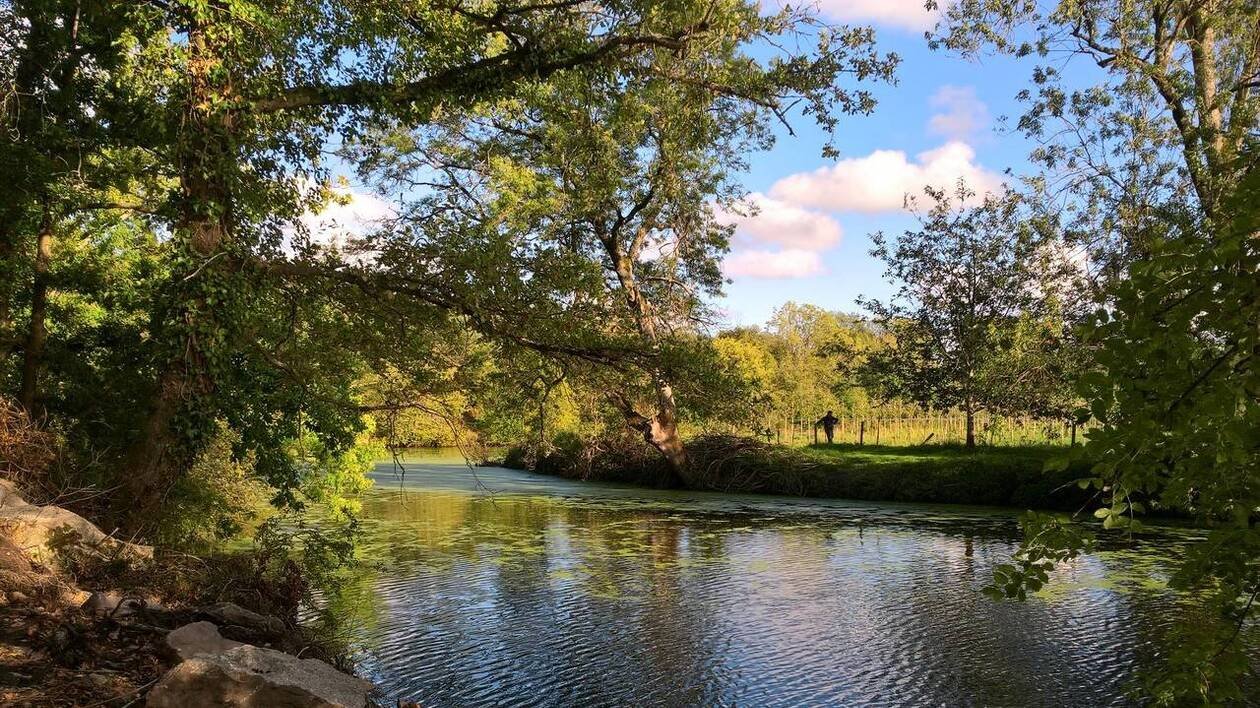 Marchez entre coteaux et bords de rivière, pour découvrir le charme rural de Saint-Lumine-de-Clisson