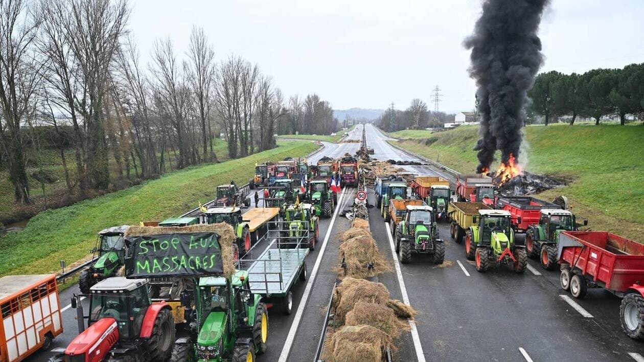 Colère des agriculteurs : « L’accord avec le Mercosur est notre seule chance de rompre le carcan qui nous étre