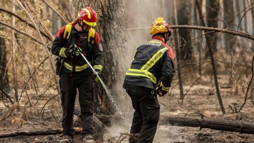 Incendie en Gironde : le feu « fixé » à Landiras, les habitants évacués vont regagner leur domicile