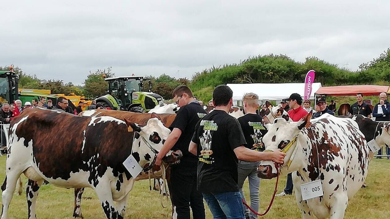 Le Fest’Agri signe son retour à Ambon