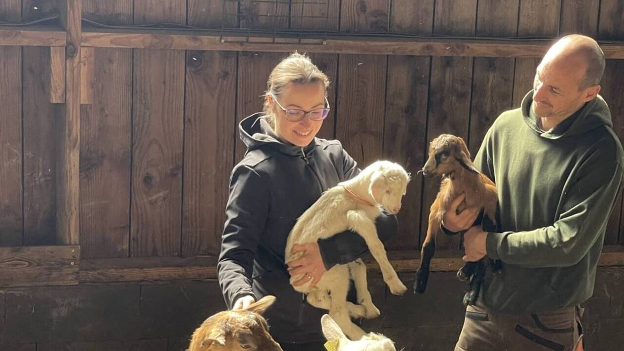 En Loire-Atlantique, cet élevage de chèvres a besoin d’aide pour « sauver sa ferme »