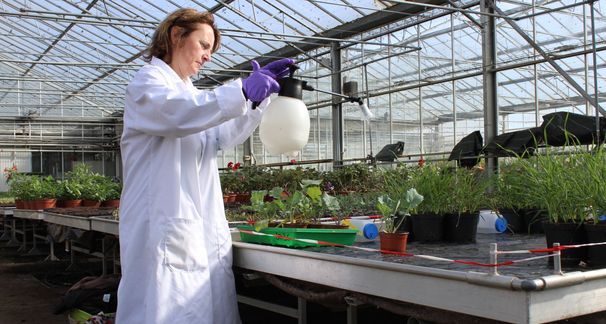 Les stimulants naturels de Bio3G repris à 100 % par le suisse Elephant vert