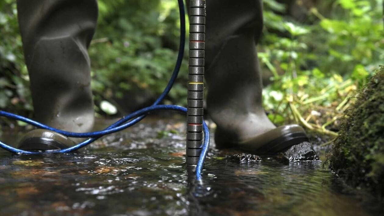 Mobilisés pour la technicienne de l’environnement agressée par des agriculteurs en Loire-Atlantique