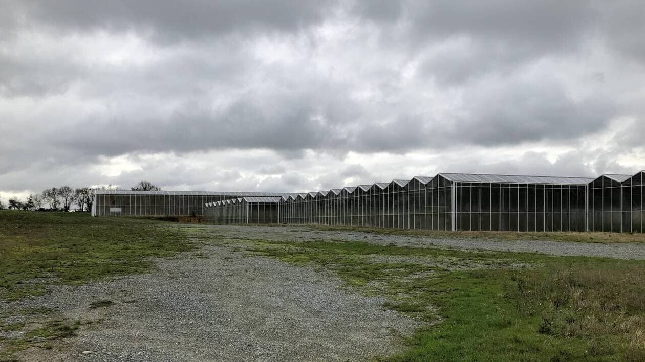 Plainte contre une ferme solaire dans les Mauges : où en est la procédure ?