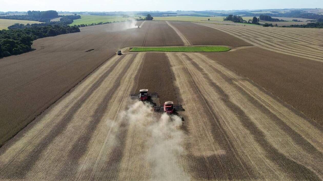 De l’Amazonie aux ports chinois, jusqu’aux élevages de l’Ouest, comment le soja a conquis le monde