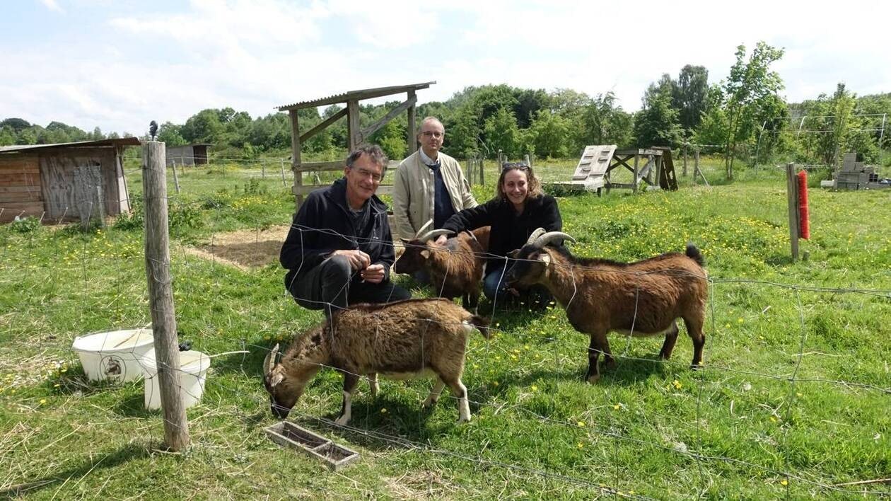 À Thorigné-Fouillard, 48 heures pour mettre en lumière l’agriculture urbaine