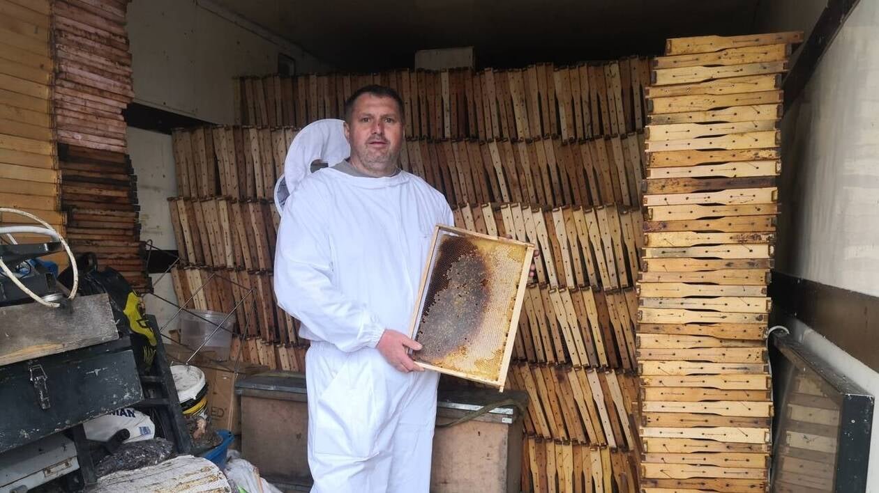 REPORTAGE. En Roumanie, la justice vole au secours des abeilles et bannit les néonicotinoïdes