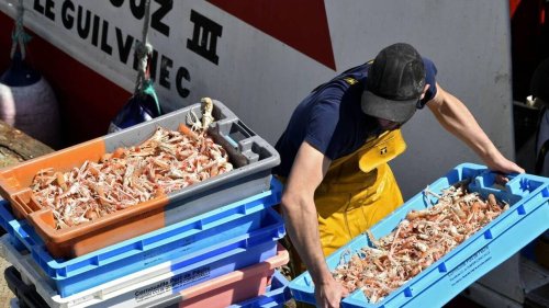 ENTRETIEN. Consommation de drogues dans la pêche : « tous les marins ne sont pas toxicomanes »