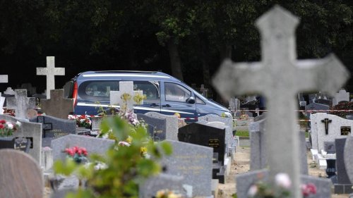 La faune et la flore mis en lumière pour le Printemps des cimetières