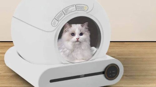 Mais où trouver cette litière pour chat autonettoyante à plus de 100 euros de promo ce samedi ?