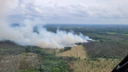 La forêt de Rennes partiellement interdite d’accès après un incendie