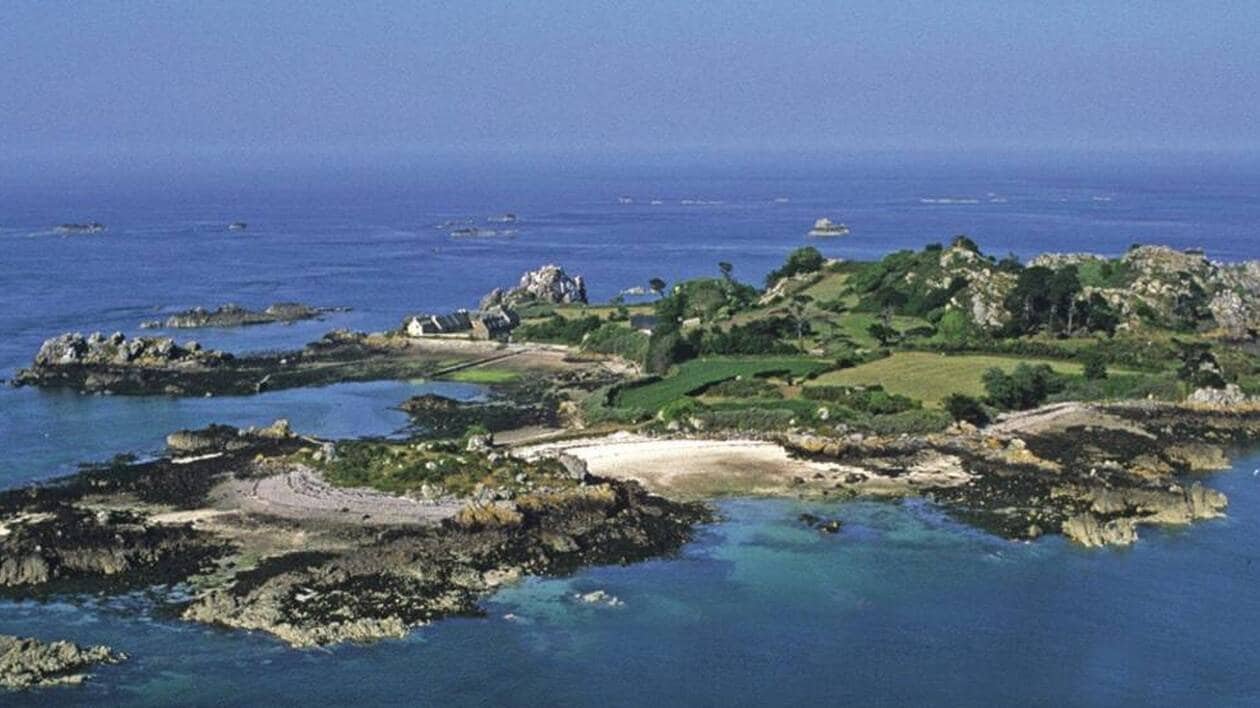 En Bretagne, le cauchemar de la pomme de terre sur l’île privée de Saint-Riom
