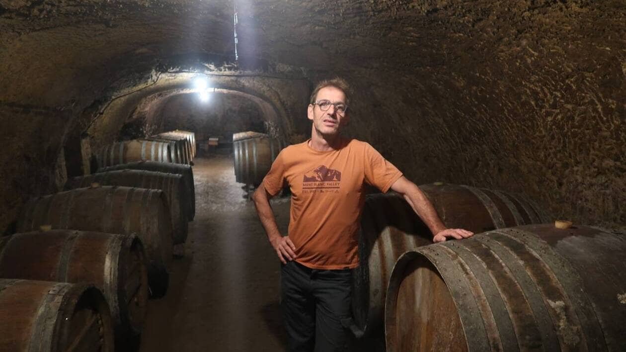 Le saumur-champigny « dans le haut du panier des rouges de Loire »