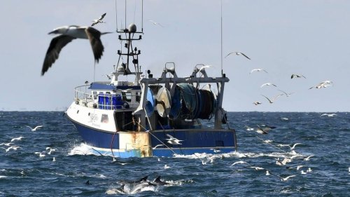 Trump réautorise la pêche commerciale dans un vaste sanctuaire marin du Pacifique
