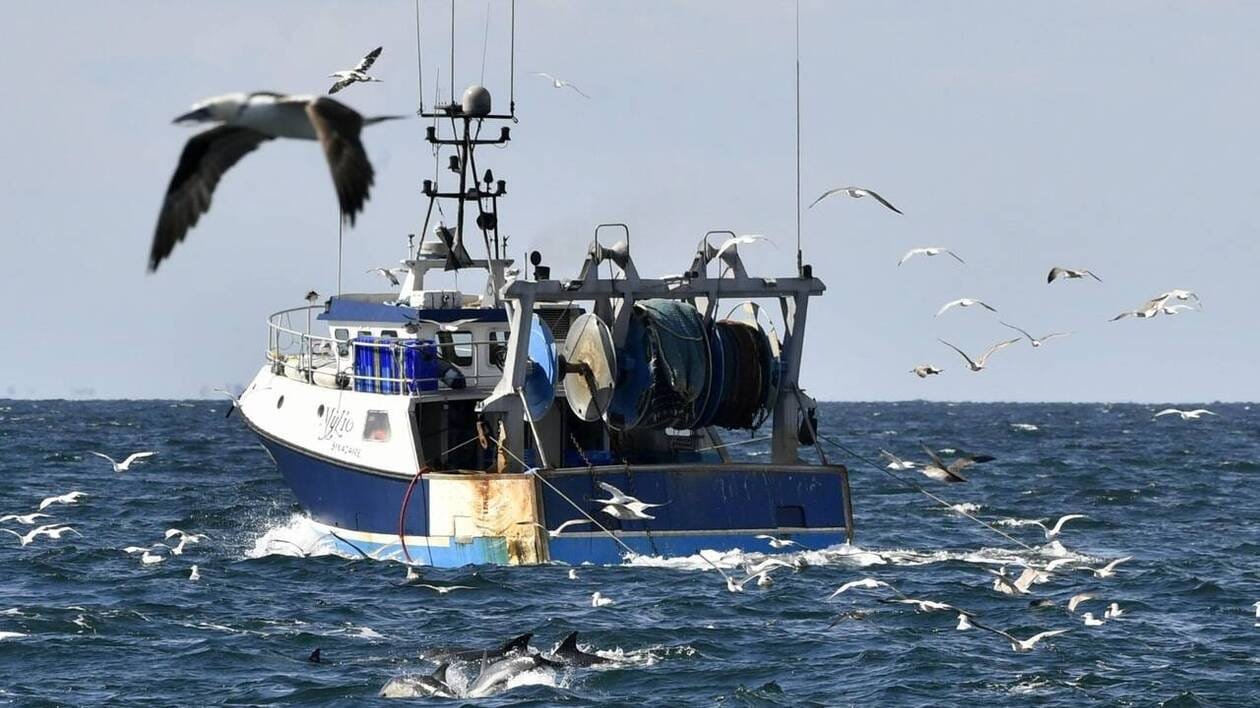 Donald Trump réautorise la pêche commerciale dans un vaste sanctuaire marin du Pacifique