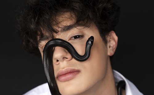 Les hommes possèdent-ils un cerveau reptilien ? Quel rapport avec les serpents ?