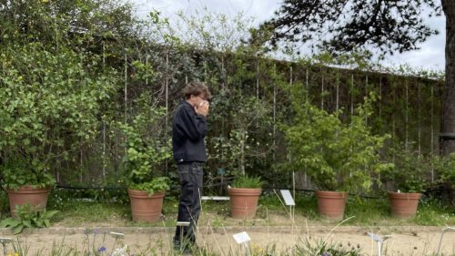 « Une meilleure efficacité des traitements » : ce jardin signale les émissions de pollens à Nantes
