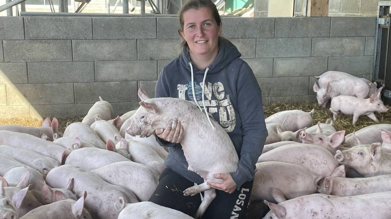 Elevage porcin en Ille-et-Vilaine : « Le bio c’est déjà du bien-être animal »