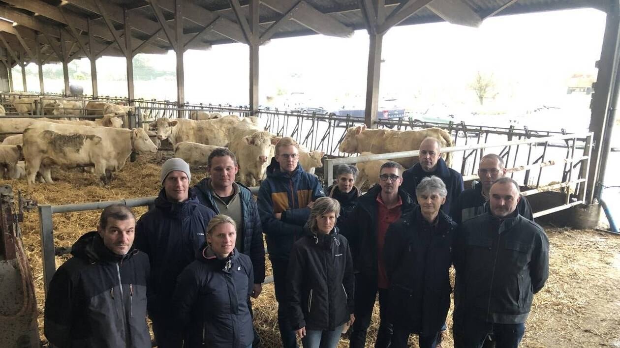 Tuberculose bovine : des éleveurs dénoncent l’abattage total des troupeaux en cas de détection