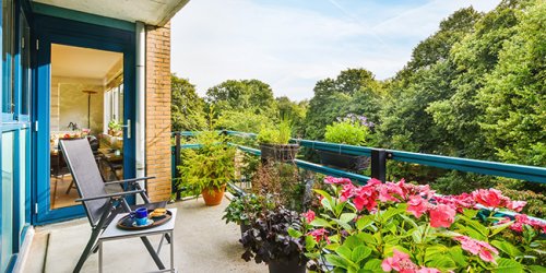 Petit jardin sur un balcon : 9 erreurs à ne pas faire !
