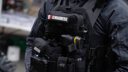 Pédopornographie : 31 personnes interpellées en France et en Europe