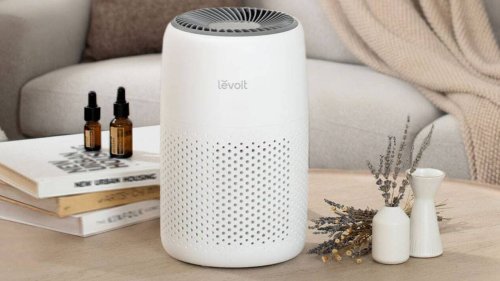 Ce purificateur d’air à moins de 50 euros et N°1 des ventes lutte contre le pollen et la poussière