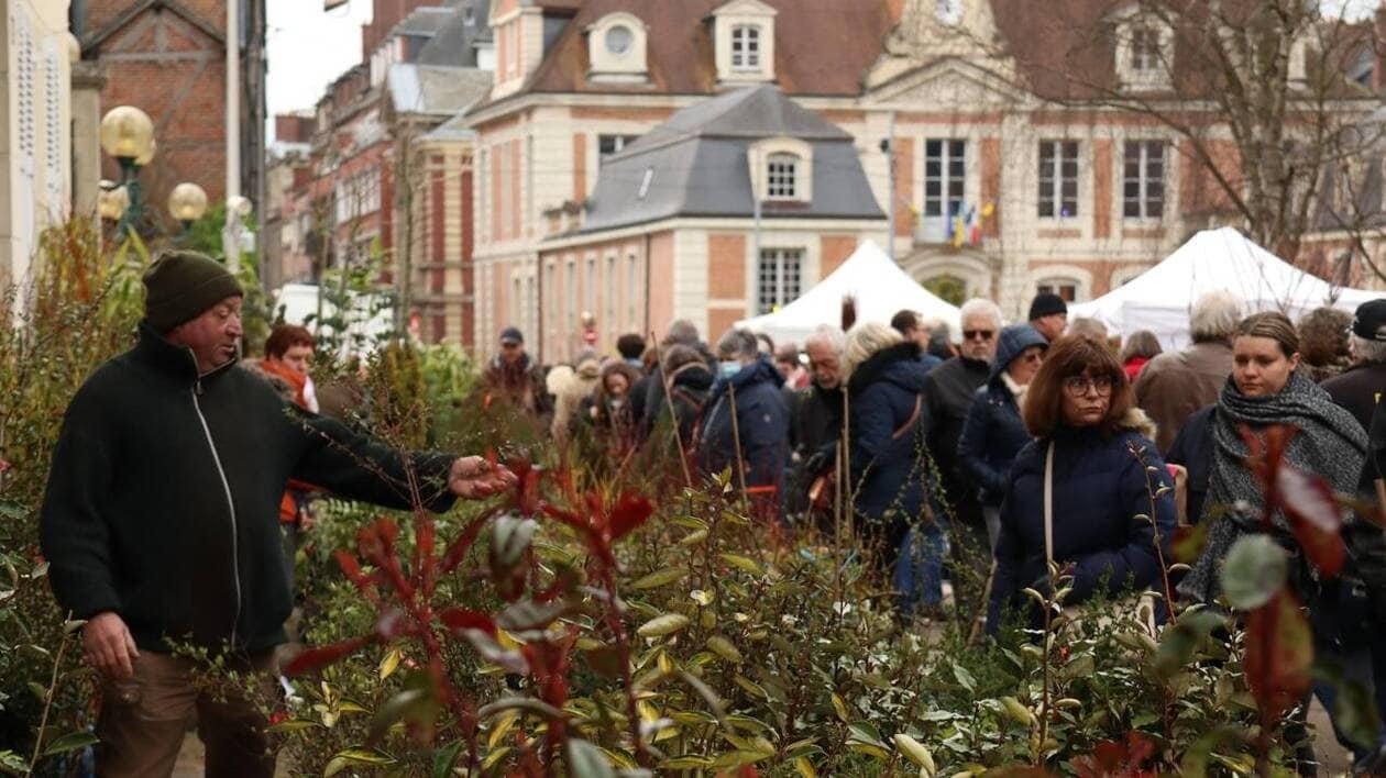Atelier grimpe d’arbres, échanges de graines, randonnée… La Foire aux arbres s’invite à Lisieux