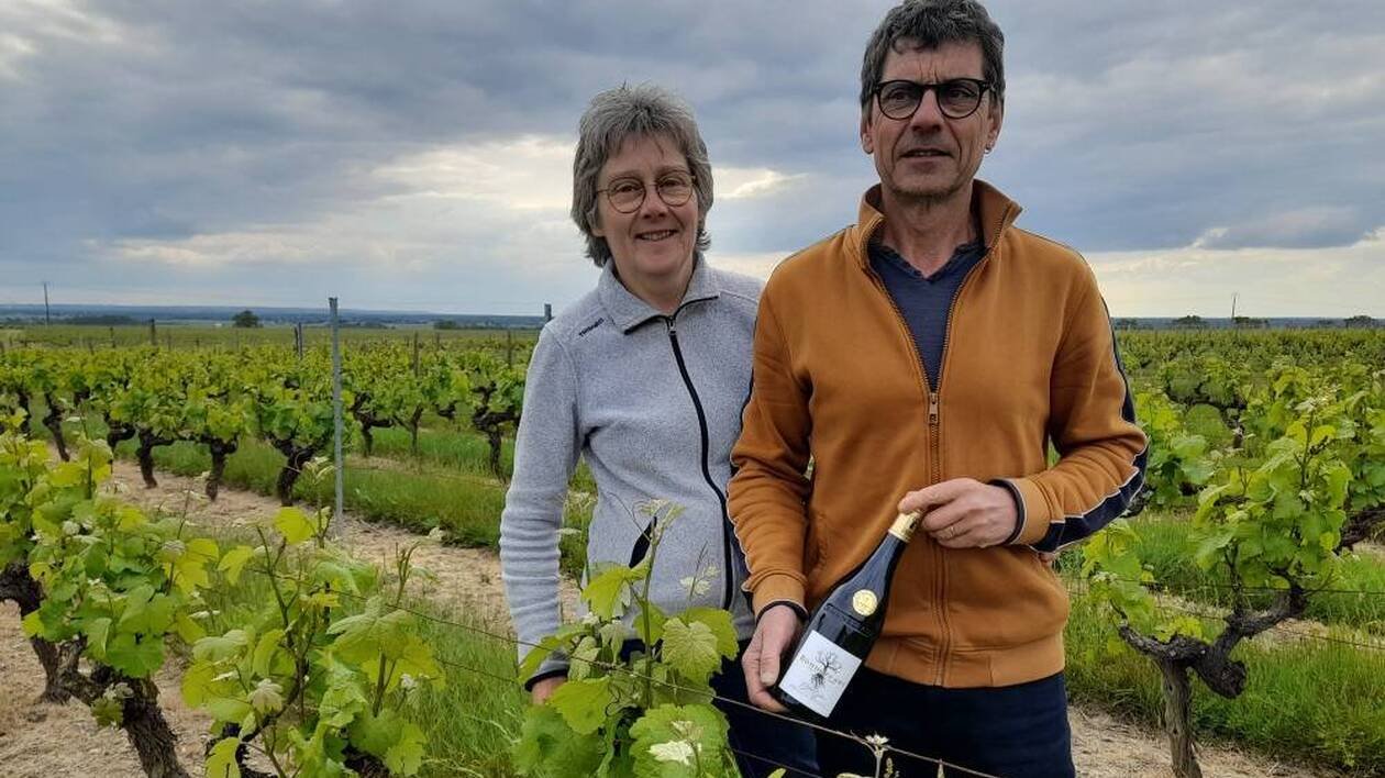 Ce domaine du Maine-et-Loire est médaillé d’or au concours des Grands Vins de France