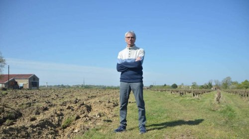 « Je ne comprends pas » : ce vigneron sanctionné après avoir stoppé sa conversion en bio