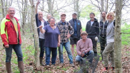 À Mellac, les jardiniers de Feunteun Don ont nettoyé la zone de captage