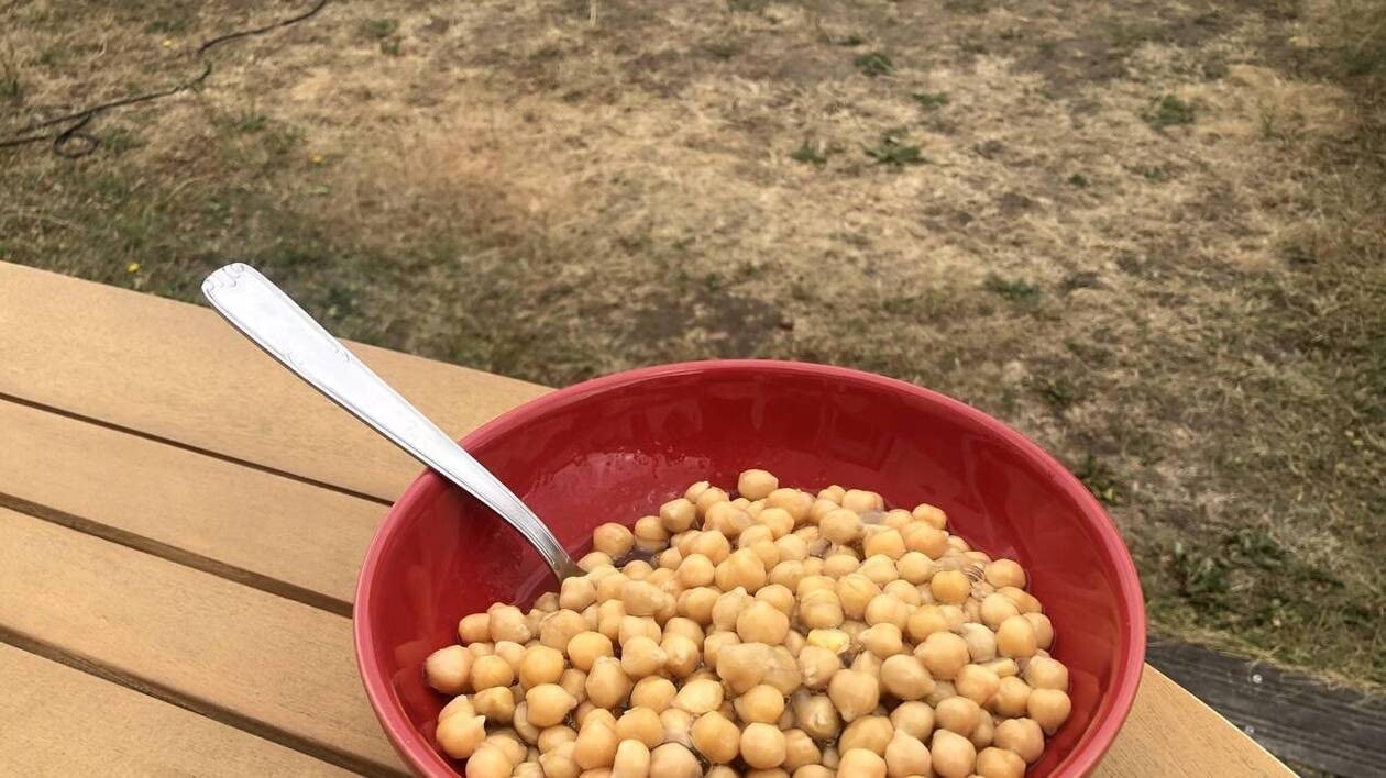 Après la brioche et la mogette, la Vendée décroche le Label Rouge pour… le pois chiche