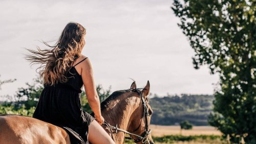 « C’est un choc » : une cavalière meurt en chutant de son cheval lors d’une balade dans le Bas-Rhin